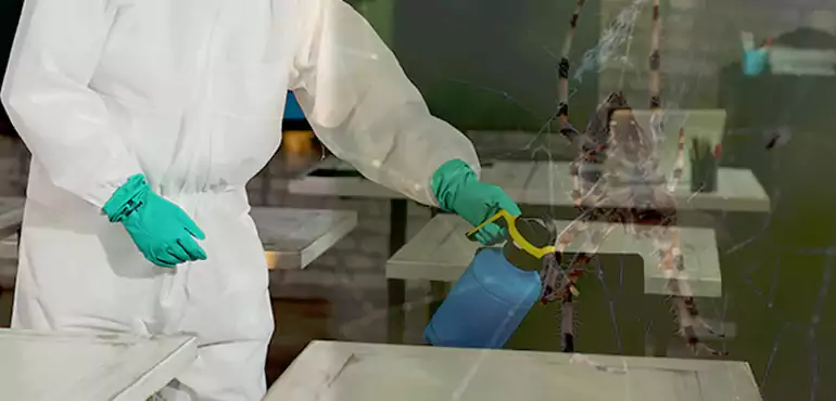 Why Buyers Still Want Homes With Pest Infestations in Rochester, NY?