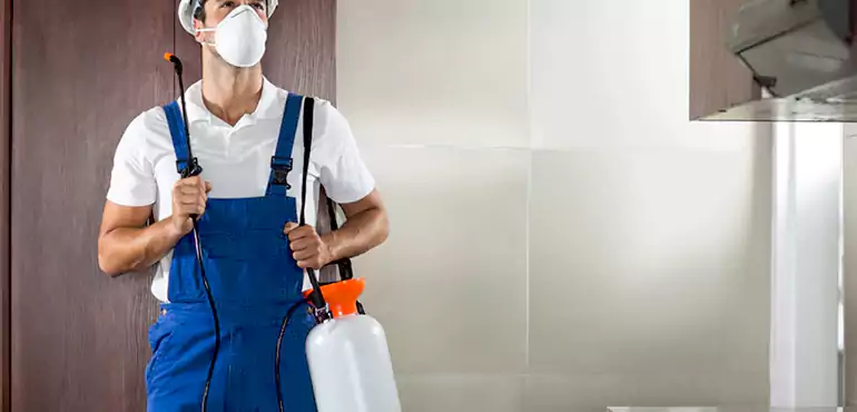 Why Rochester Homeowners Choose Us When Pests Make Selling Difficult